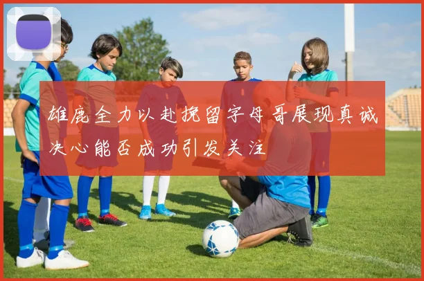雄鹿全力以赴挽留字母哥展现真诚决心能否成功引发关注