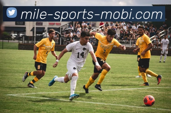 米乐体育服务体系